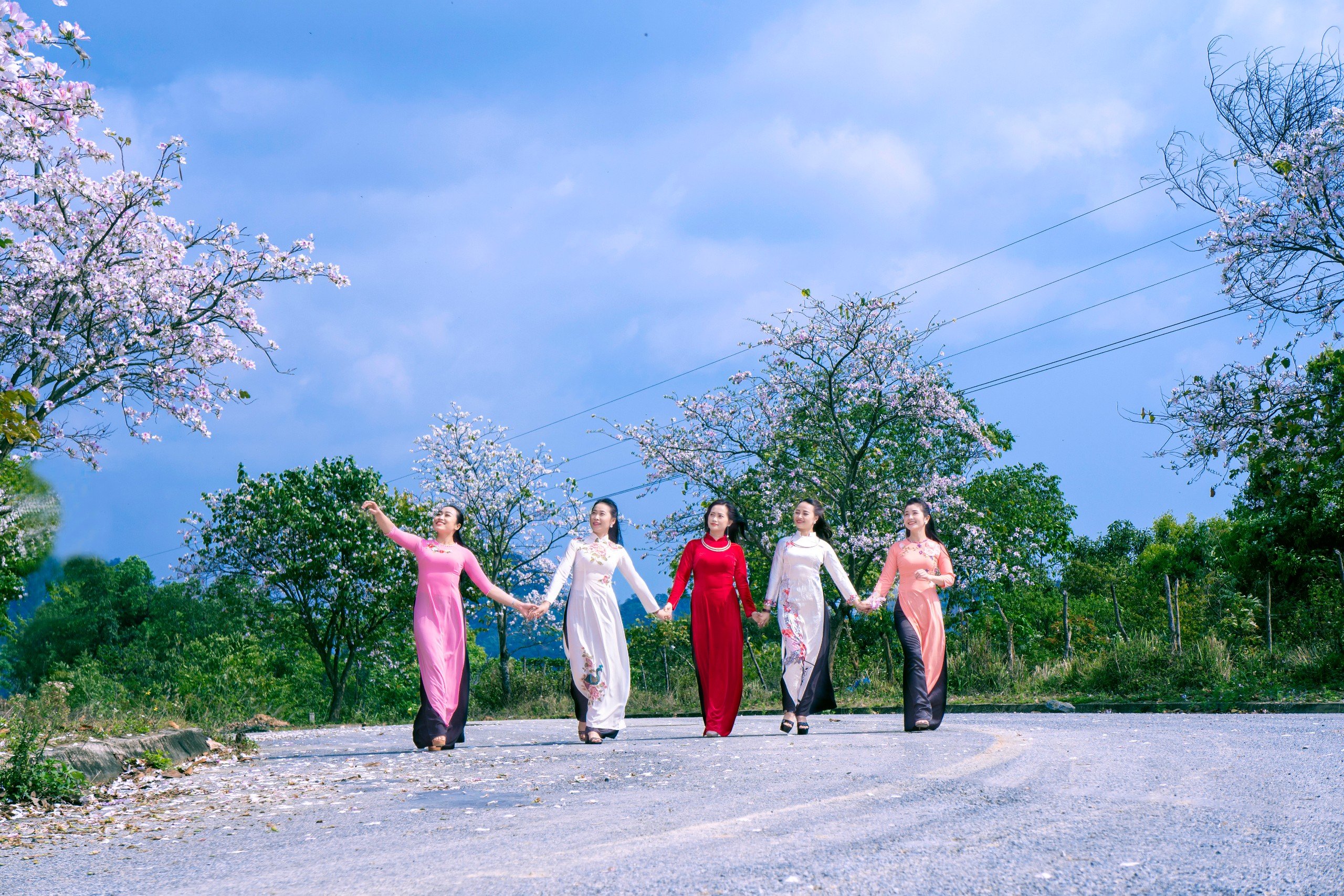 Điện Biên ngập tràn sắc Hoa Ban